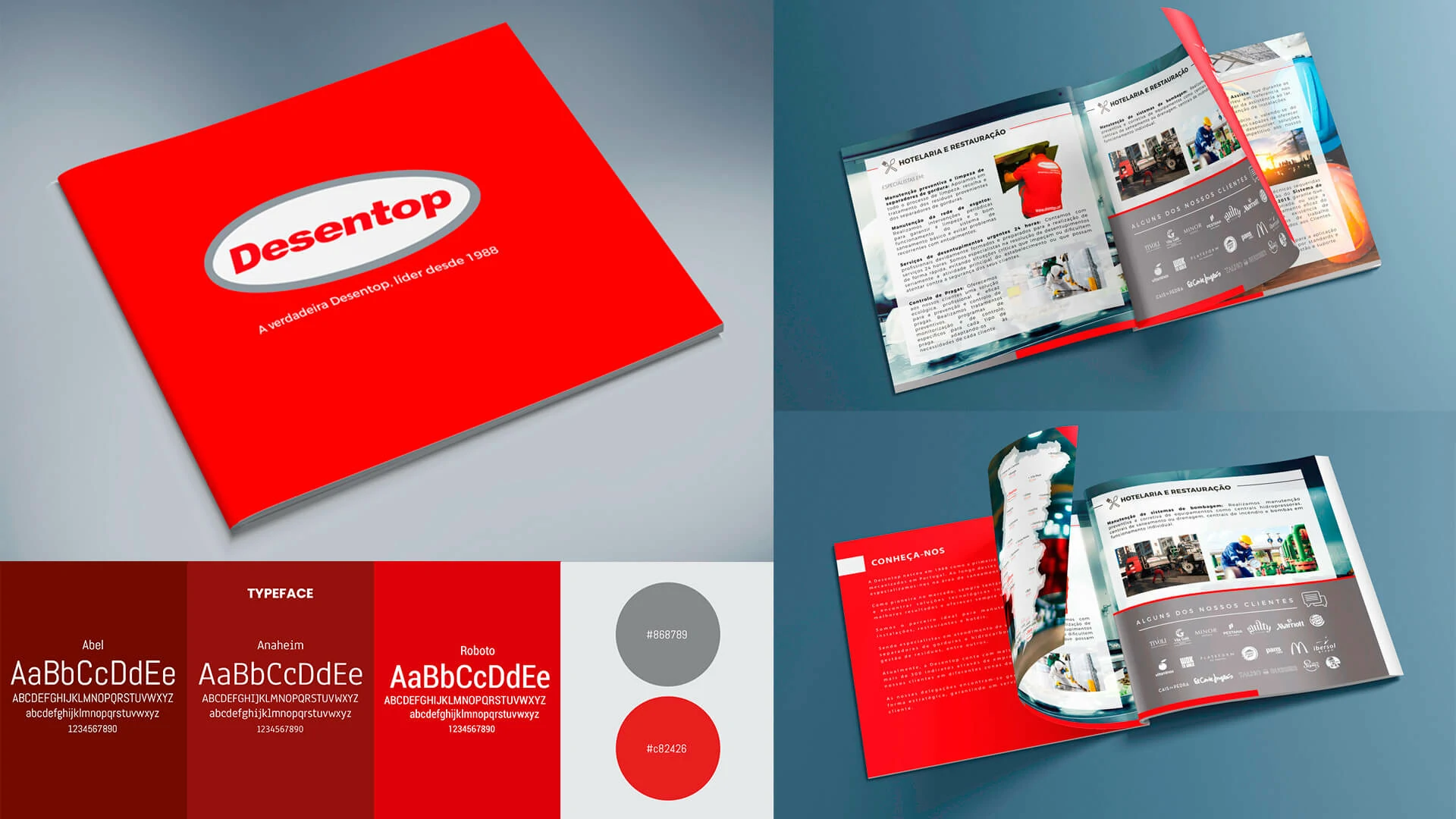 Desentop brochure art direction, typography and colour system
